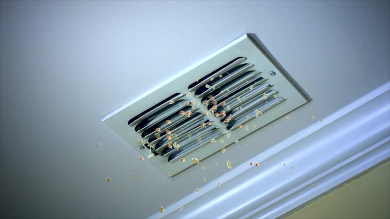 Best Dryer Vent Cleaning Services  in Maxwell, CA