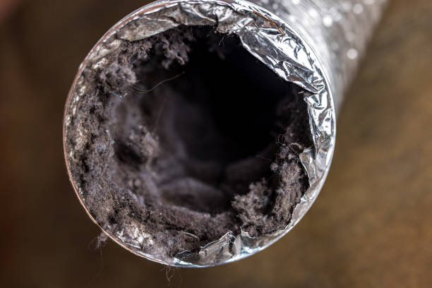Best Ductwork Cleaning Services  in Maxwell, CA