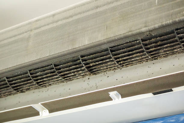 Best HVAC Air Duct Cleaning  in Maxwell, CA